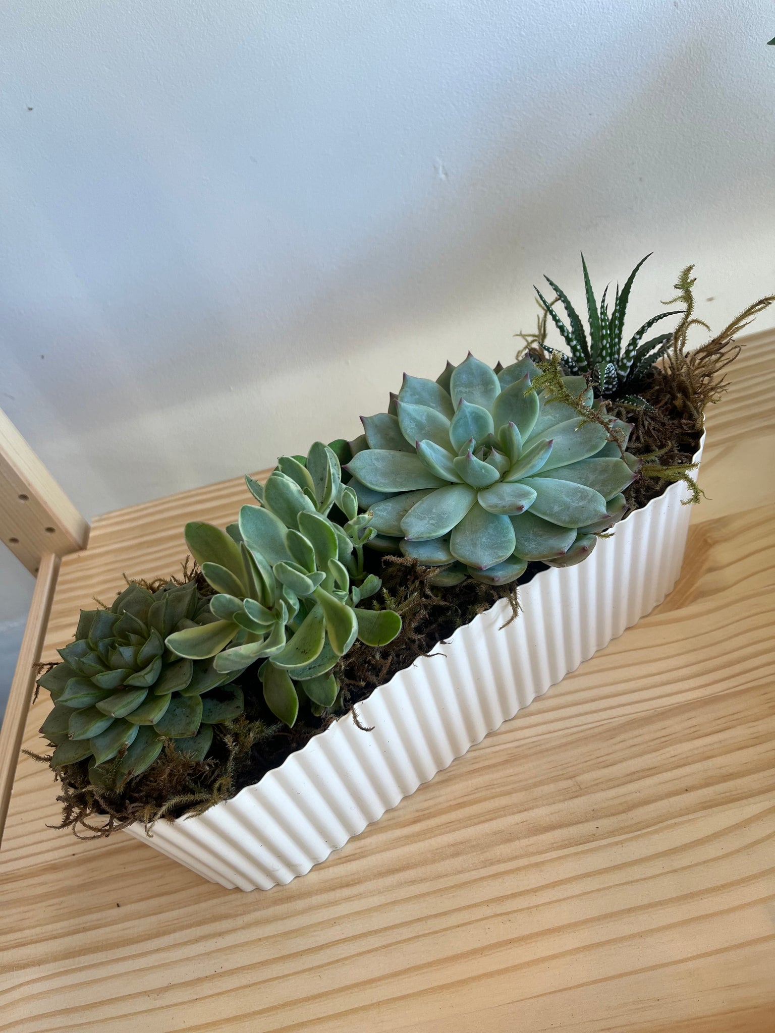 Succulent Lover pot