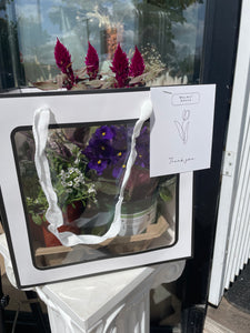 Mini plant package