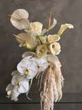 Orchid Cascade