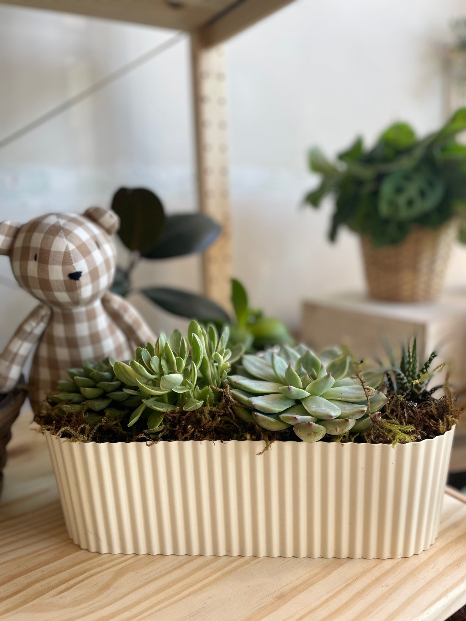 Succulent Lover pot