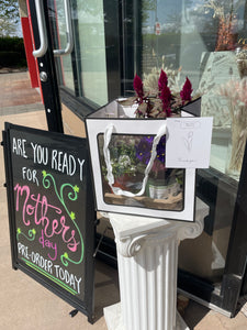 Mini plant package